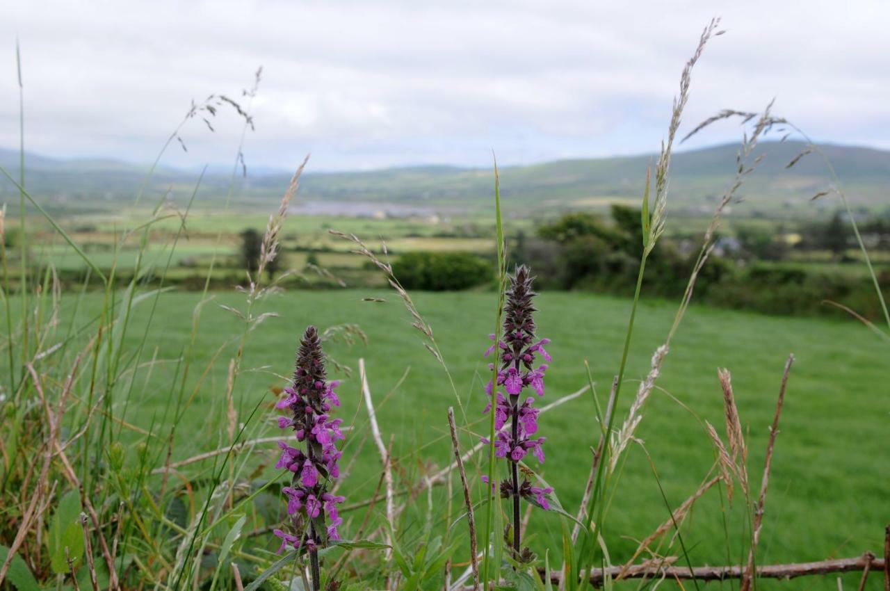 Short Strand Dingle Emlagh East Luaran gambar